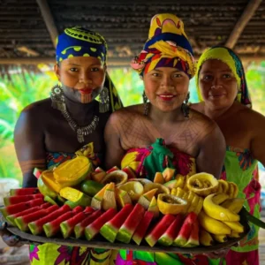 Tour Emberá Gamboa y el Canal de Panamá